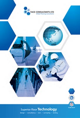 Face Consultants China Brochure English